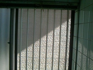 NEC_0072.jpg